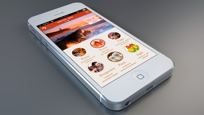 實踐案例：保定APP開發(fā)公司在本地服務(wù)的應(yīng)用